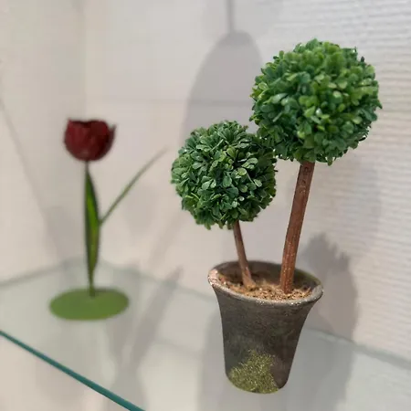 Baden-chalet Schwarzwald Und Rhein * Bühl