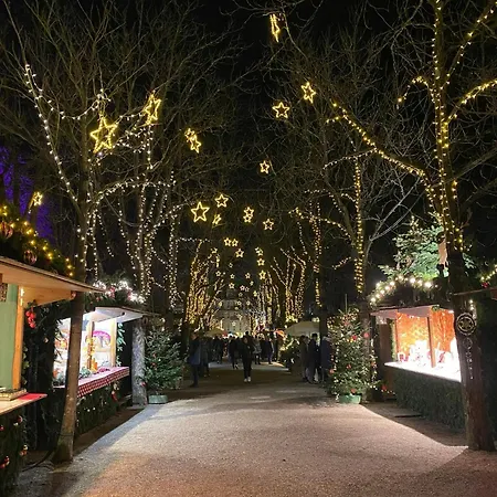 Baden-chalet Schwarzwald Und Rhein Bühl