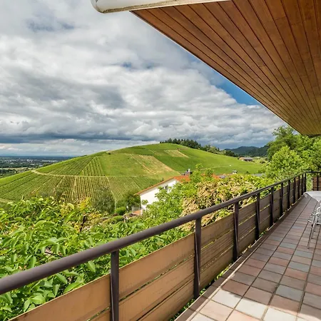 Baden-chalet - Panoramablick